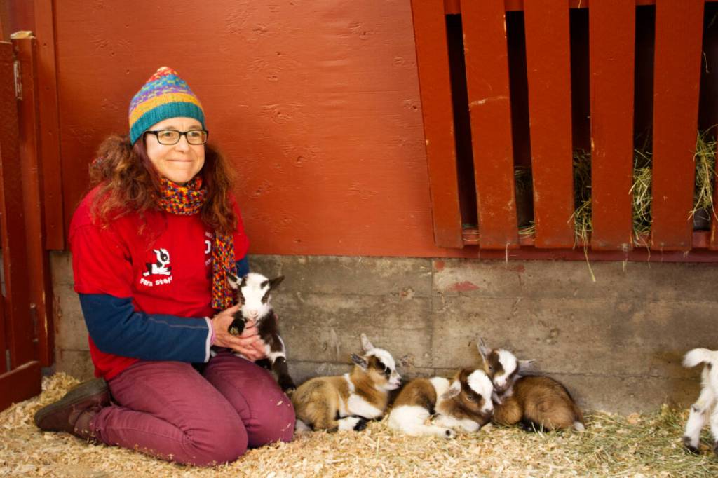 New kids on the block: Victoria children’s farm welcomes seven baby goats