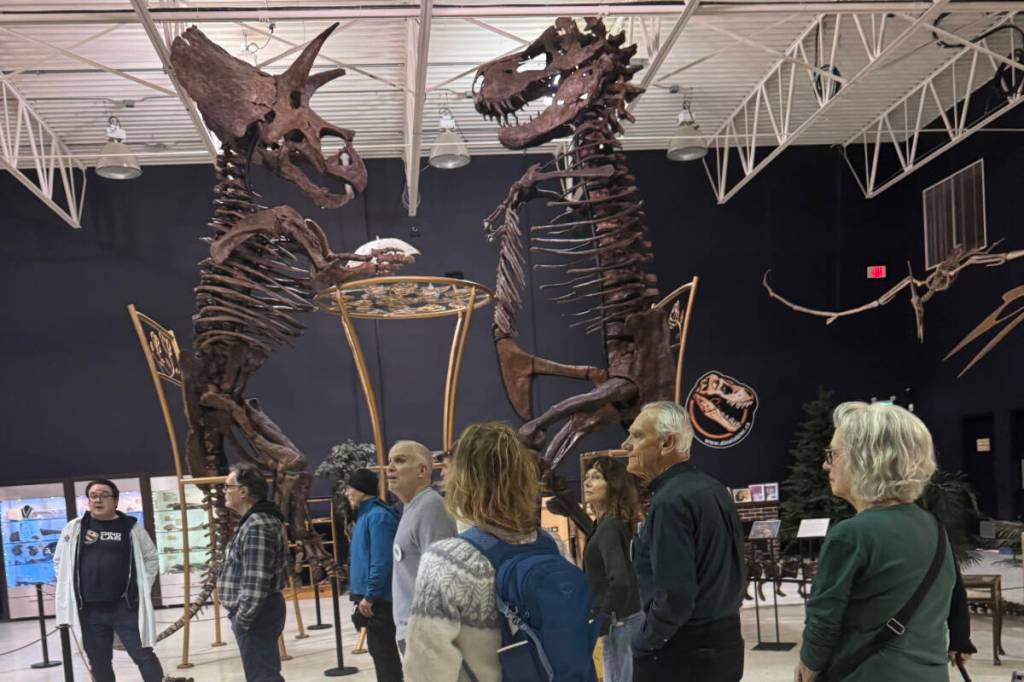 9 Victoria men facing early-onset dementia pivot to maintain active lives